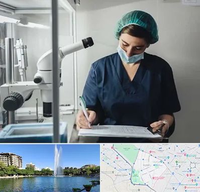 دکتر اورولوژیست خانم در کوهسنگی مشهد 