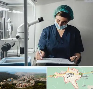 دکتر اورولوژیست خانم در گرگان