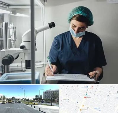 دکتر اورولوژیست خانم در بلوار کلاهدوز مشهد 