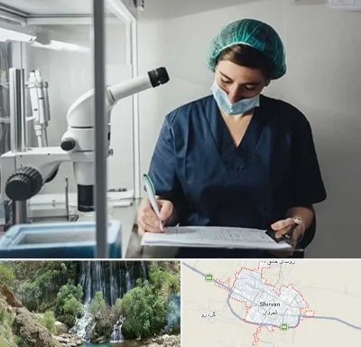 دکتر اورولوژیست خانم در شیروان