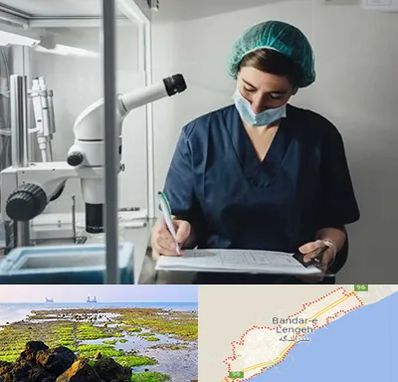 دکتر اورولوژیست خانم در بندرلنگه