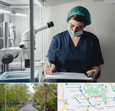 دکتر اورولوژیست خانم در قدوسی غربی شیراز 