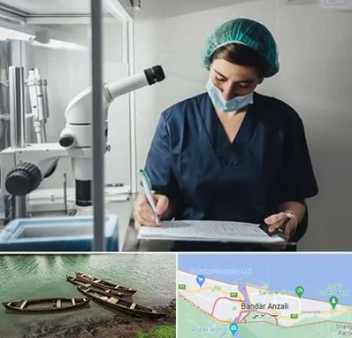 دکتر اورولوژیست خانم در بندر انزلی