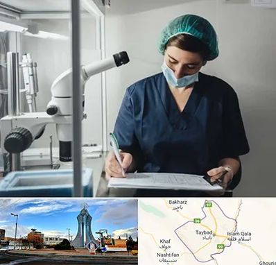 دکتر اورولوژیست خانم در تایباد