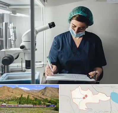 دکتر اورولوژیست خانم در خاش