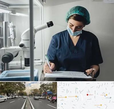 دکتر اورولوژیست خانم در دولت 