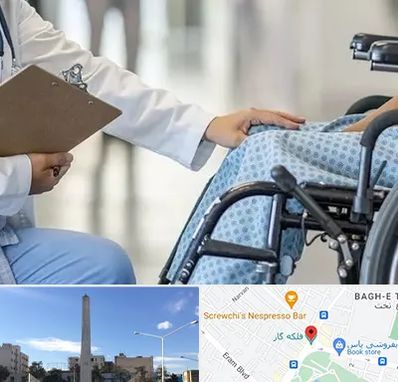 دکتر ام اس MS در فلکه گاز شیراز 