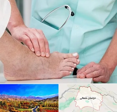 دکتر مفاصل و استخوان در خراسان شمالی