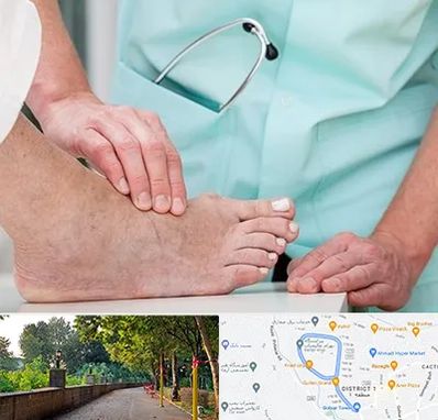 دکتر مفاصل و استخوان در فلکه گاز رشت 