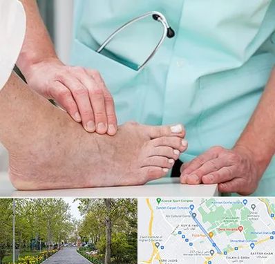 دکتر مفاصل و استخوان در قدوسی غربی شیراز 