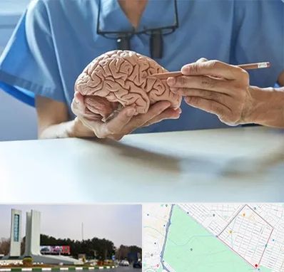 دکتر نورولوژی در بلوار فلسیطین مشهد