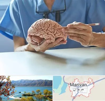 دکتر نورولوژی در مریوان