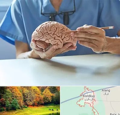 دکتر نورولوژی در کردکوی