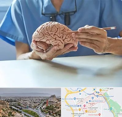 دکتر نورولوژی در معالی آباد شیراز 