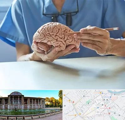 دکتر نورولوژی در عفیف آباد شیراز 