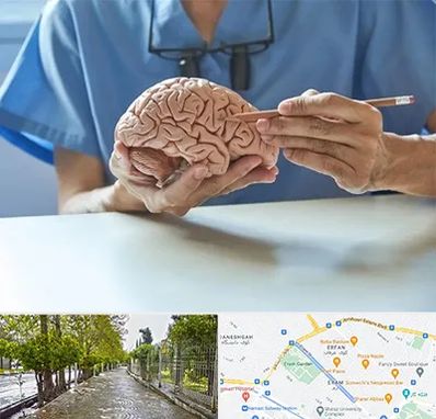 دکتر نورولوژی در خیابان ارم شیراز 