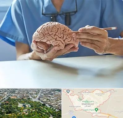 دکتر نورولوژی در شهرکرد