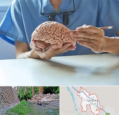 دکتر نورولوژی در سراوان