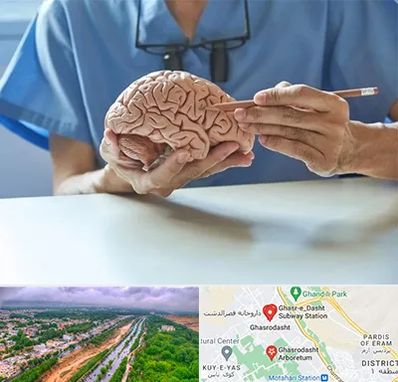 دکتر نورولوژی در قصرالدشت شیراز 