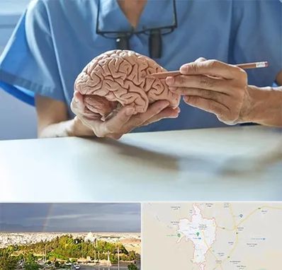 دکتر نورولوژی در تربت حیدریه
