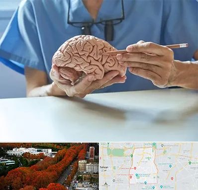 دکتر نورولوژی در منطقه 6 تهران 