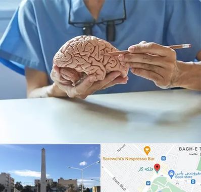 دکتر نورولوژی در فلکه گاز شیراز 