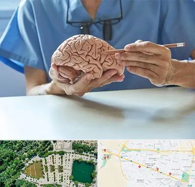 دکتر نورولوژی در وکیل آباد مشهد 