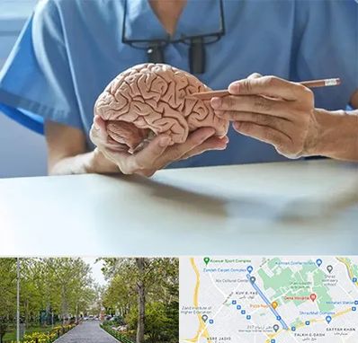 دکتر نورولوژی در قدوسی غربی شیراز 