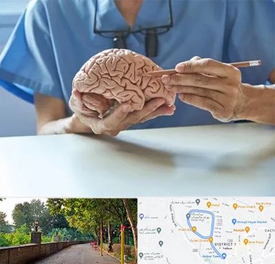 دکتر نورولوژی در فلکه گاز رشت 