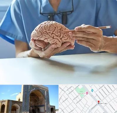 دکتر نورولوژی در مصلی مشهد