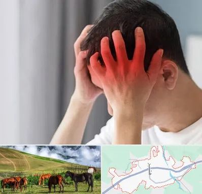 دکتر میگرن در تالش