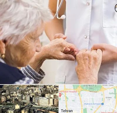 دکتر پارکینسون در مرزداران 