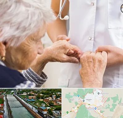 دکتر پارکینسون در مراغه