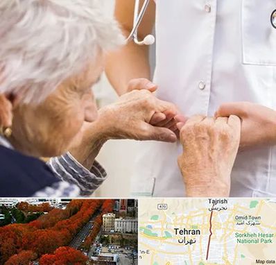 دکتر پارکینسون در ولیعصر 