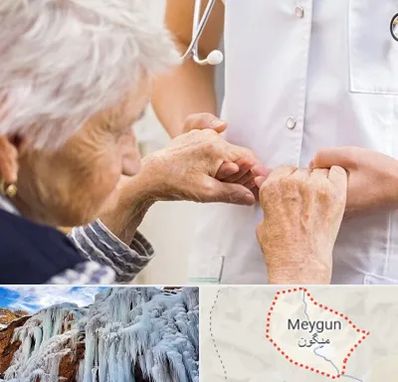 دکتر پارکینسون در میگون