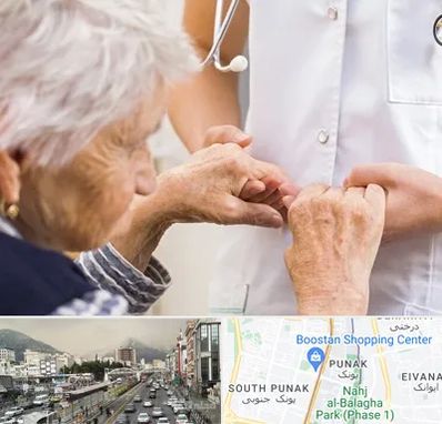 دکتر پارکینسون در پونک 