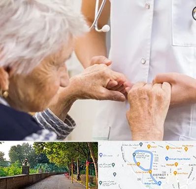 دکتر پارکینسون در فلکه گاز رشت 