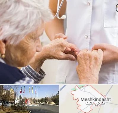 دکتر پارکینسون در مشکین دشت