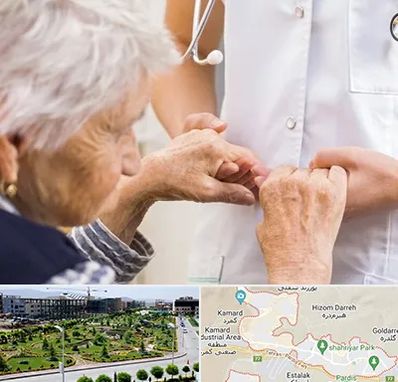 دکتر پارکینسون در پردیس