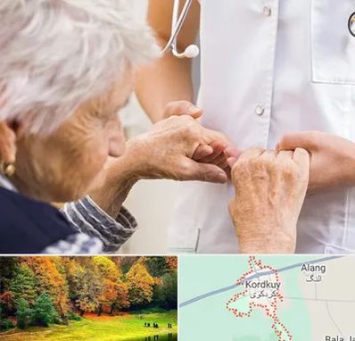 دکتر پارکینسون در کردکوی
