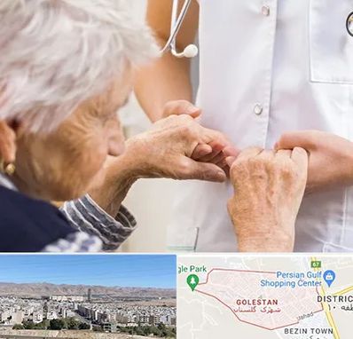 دکتر پارکینسون در شهرک گلستان شیراز 