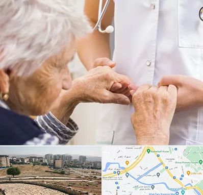 دکتر پارکینسون در کوی وحدت شیراز 