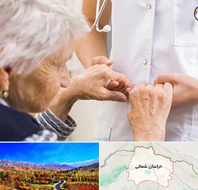 دکتر پارکینسون در خراسان شمالی