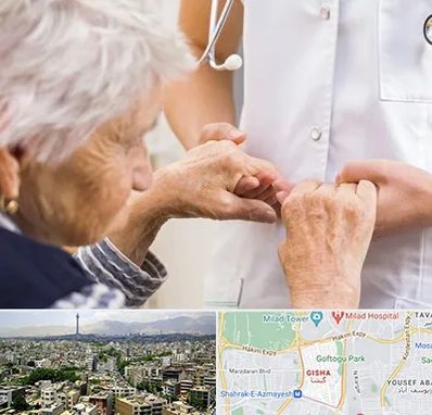 دکتر پارکینسون در گیشا 