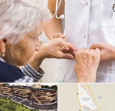 دکتر پارکینسون در شاهین شهر