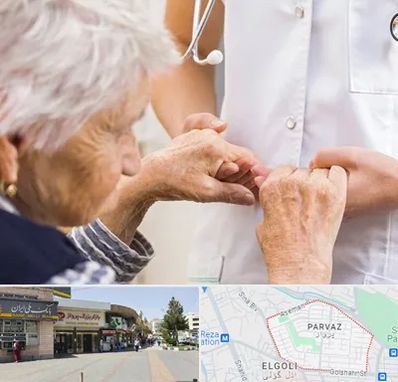 دکتر پارکینسون در پرواز تبریز