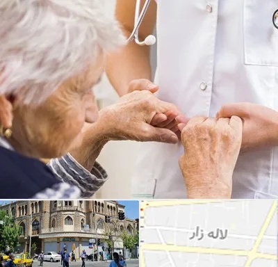 دکتر پارکینسون در لاله زار