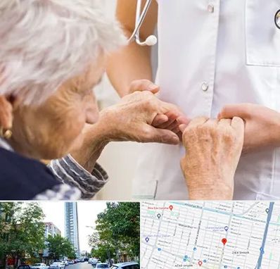 دکتر پارکینسون در امامت مشهد 