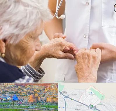 دکتر پارکینسون در رشدیه تبریز