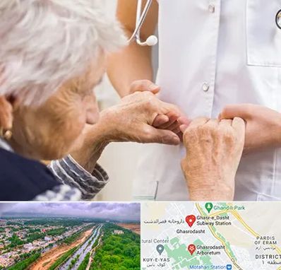 دکتر پارکینسون در قصرالدشت شیراز 